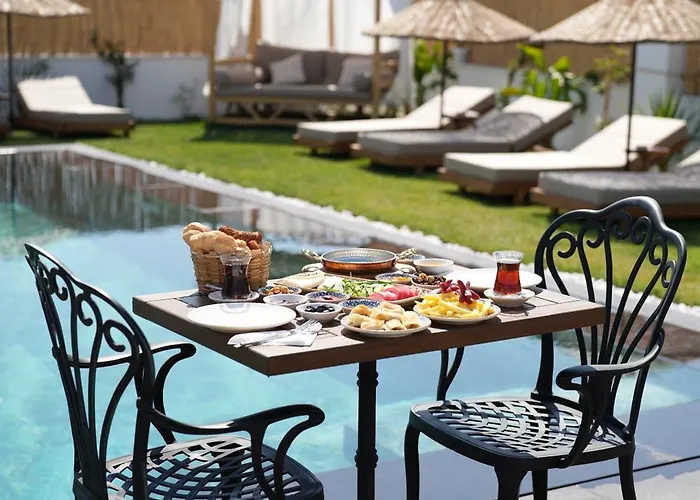 Egella * דיקילי